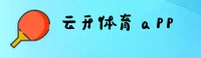 使用指南与常见问题